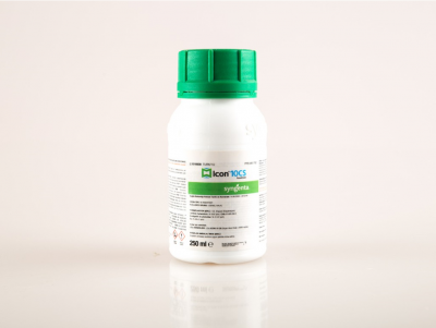 Icon 10 CS 250 mL Tahtakurusu İlacı Kokusuz - 1