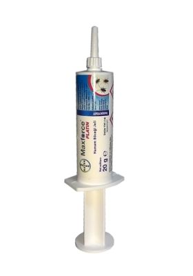 Maxforce Platin 20 Gr Hamam Böceği Jeli - 1