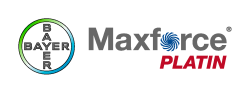 Maxforce Platin 20 Gr Hamam Böceği Jeli - 2
